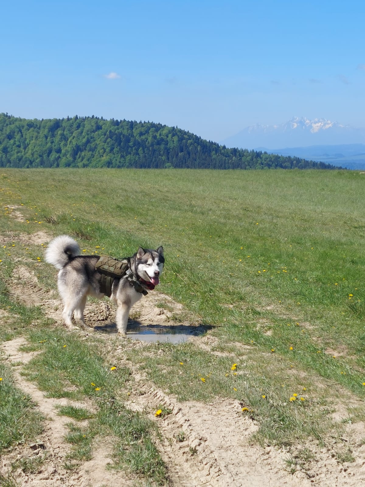 Jukon z plecakiem trekkingowym na górskiej hali